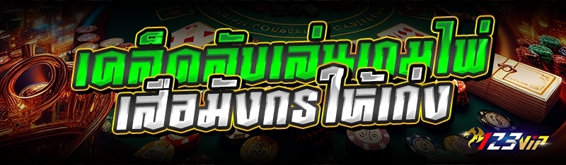 เคล็ดลับเล่นเกมไพ่เสือมังกรให้เก่ง 